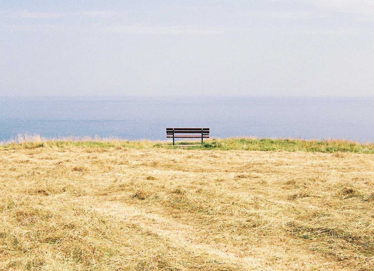 Follow @fredshootsfilm on Instagram